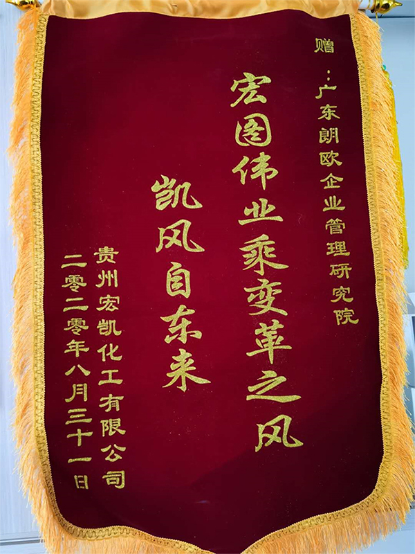 宏凱化工贈(zèng)送朗歐咨詢(xún)錦旗